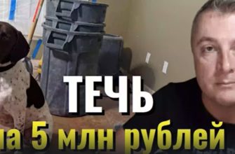 Саня во Флориде - новый выпуск от 13 апреля 2023 - Течь на 5 млн рублей