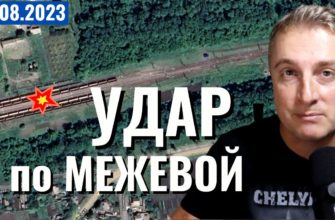 Саня во Флориде - последний выпуск от 18.08.2023 - Ожесточённые бои Роботино